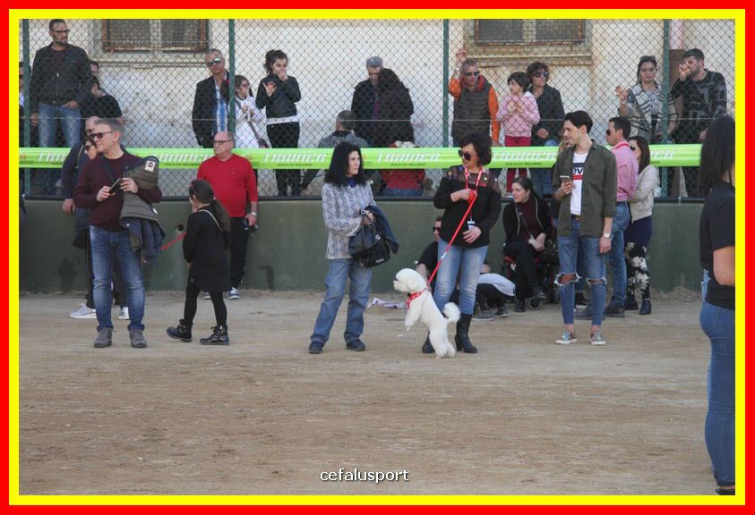 180311 mostra_canina 151.jpg